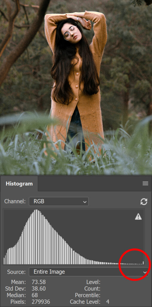 example of well exposed histogram