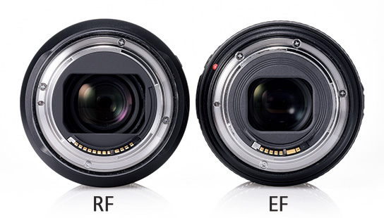 Giotto Dibondon Sluimeren wij LPS | What is the difference between Canon RF and EF mount?