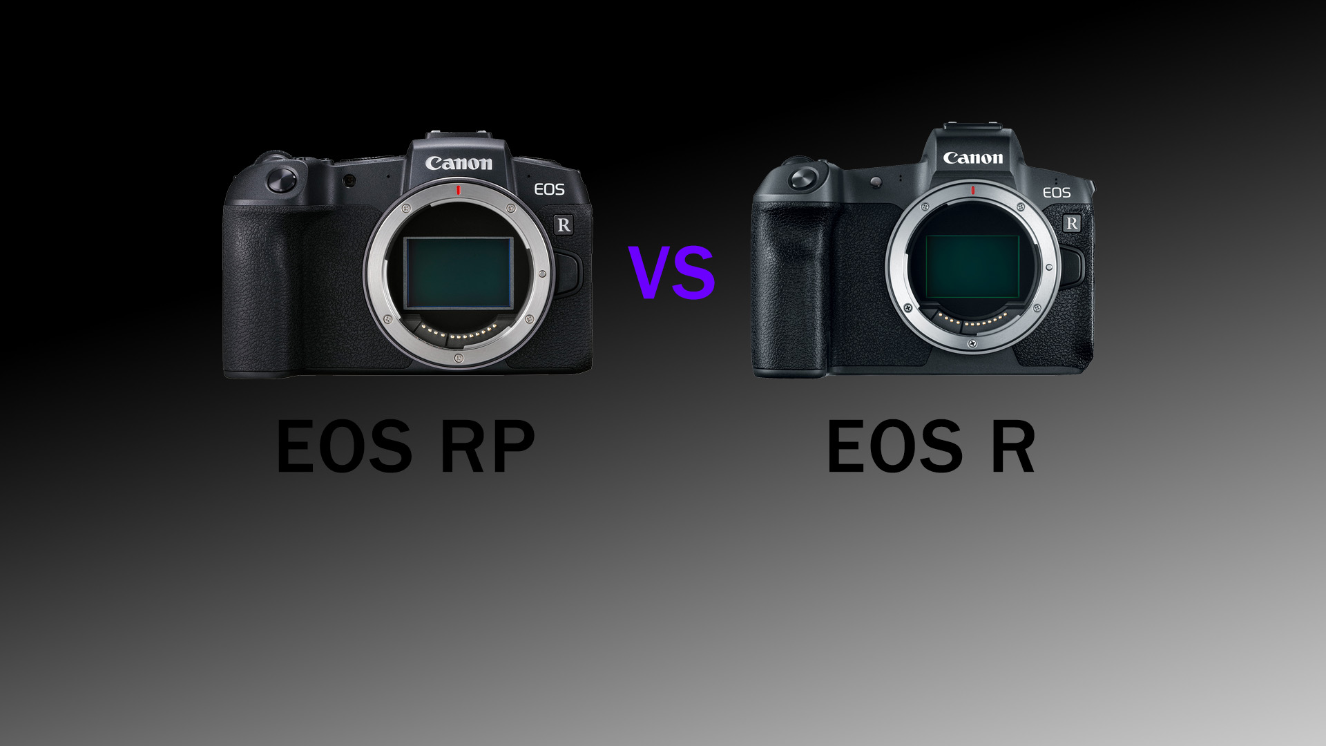 Why the Canon EOS RP Sucks for Video